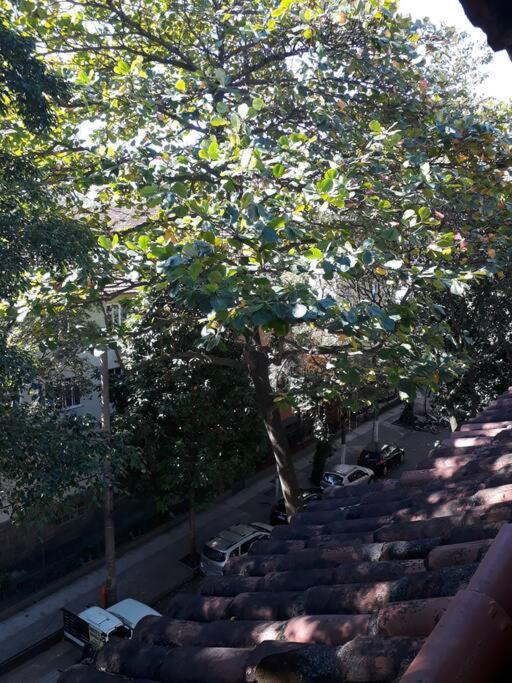 Apartamento No Leblon Rio de Janeiro